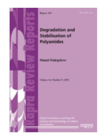 Degradation and Stabilisation of Polyamides